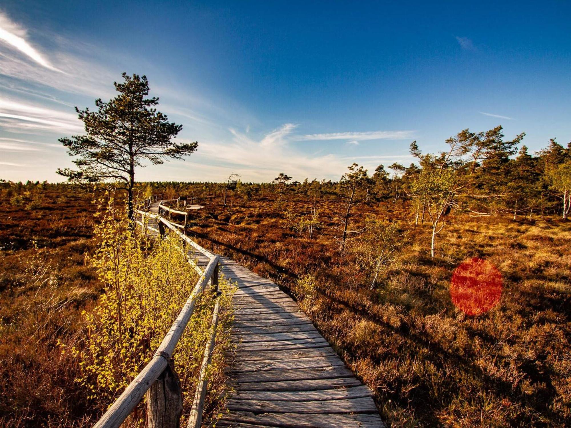 Feriendorf Wasserkuppe Abtsroda ภายนอก รูปภาพ