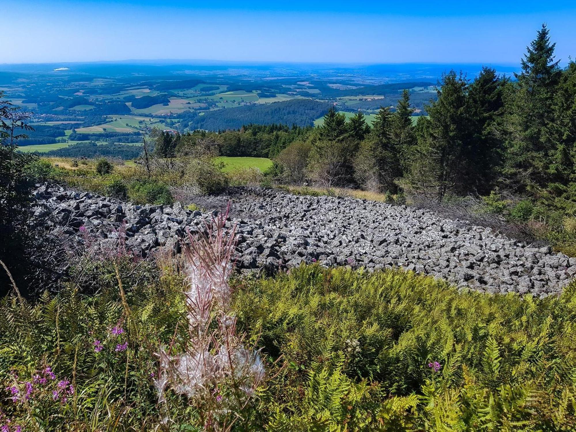 Feriendorf Wasserkuppe Wassersuppe ภายนอก รูปภาพ